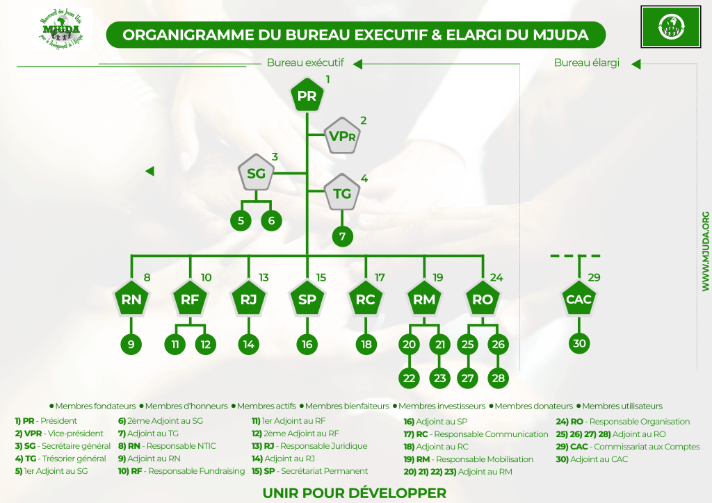 ORGANIGRAMME 01 - MJUDA